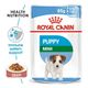 royal-canin-mini-puppy-pouch-x-85g-traviesos-pet--D_NQ_NP_722573-MLA40455294766_012020-F