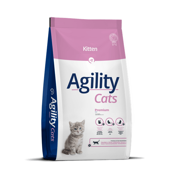 AgilityCats-Kitten